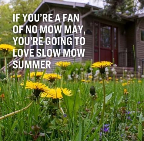 Let It Grow:  "No Mow May + Slow Mow June"