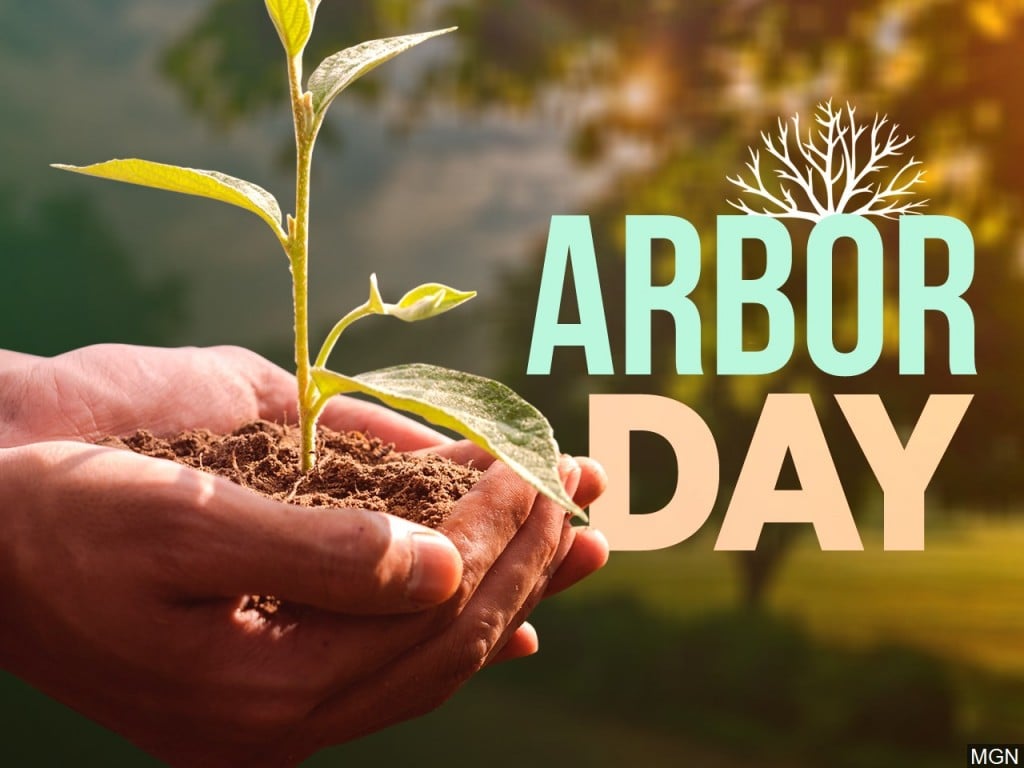 Happy Arbor Day!