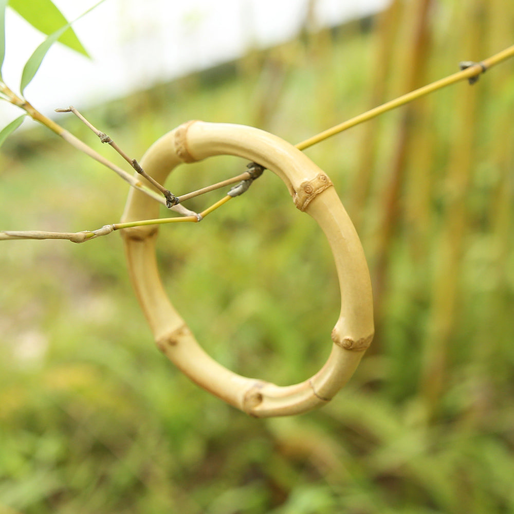 Natural Bamboo Bangle Bracelet