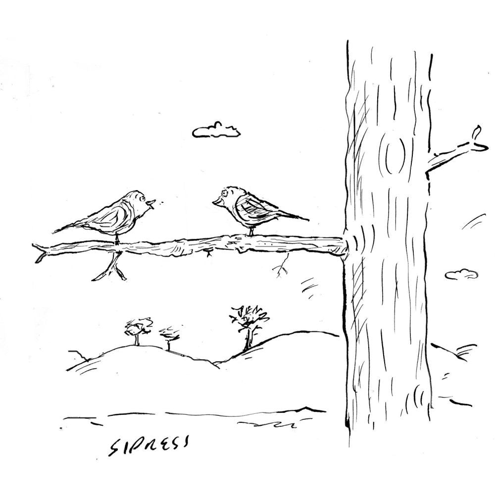 The Daily Cartoon: Part IV