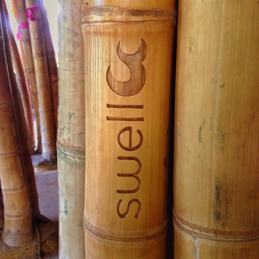 WORLD BAMBOO DAY