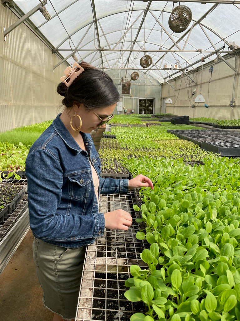 Cultivating Green: Exploring Sustainable Gardening Techniques