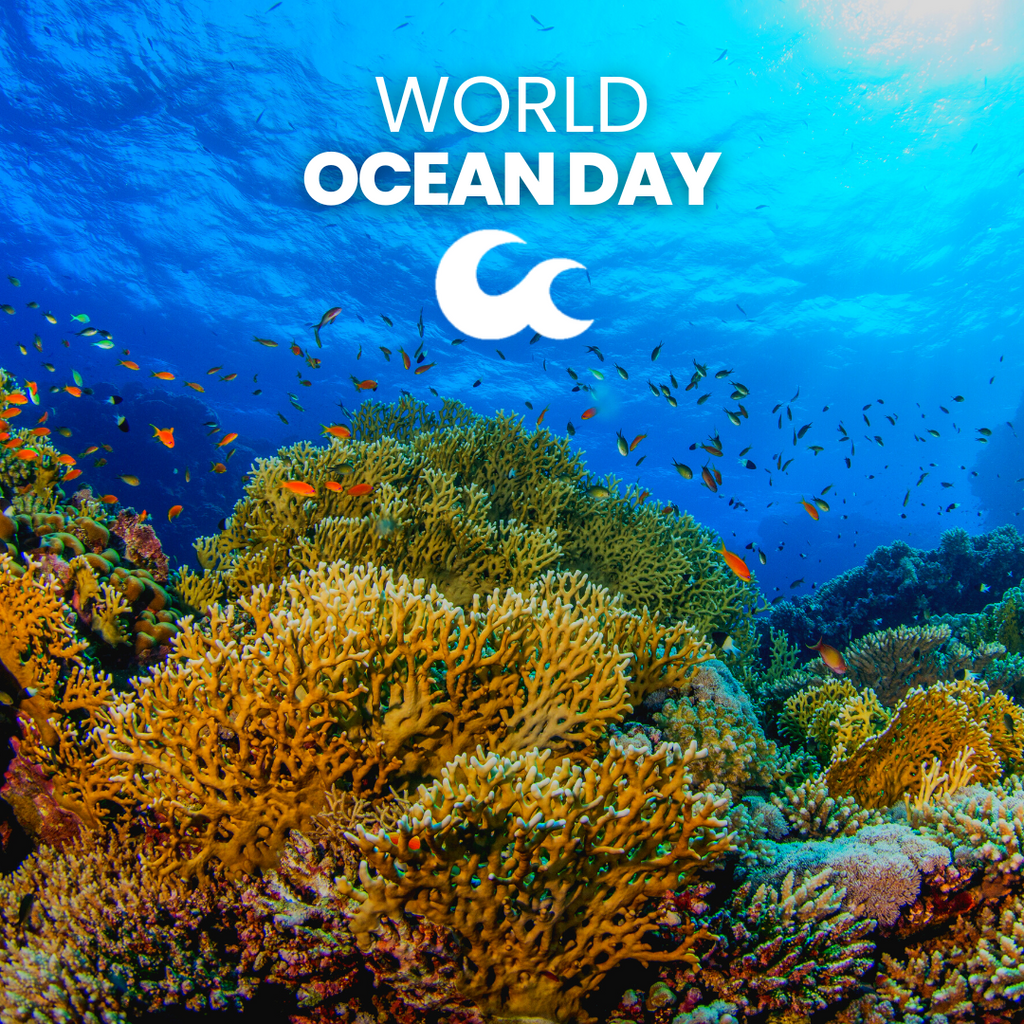World Ocean Day