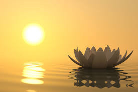Year of Yoga: Meditation
