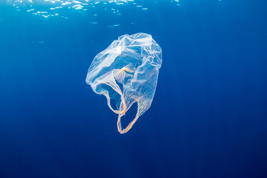 Rise Above Plastic