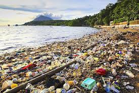 Plastic Pollution: the Numbers