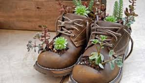 Lost & Found: Repurposing