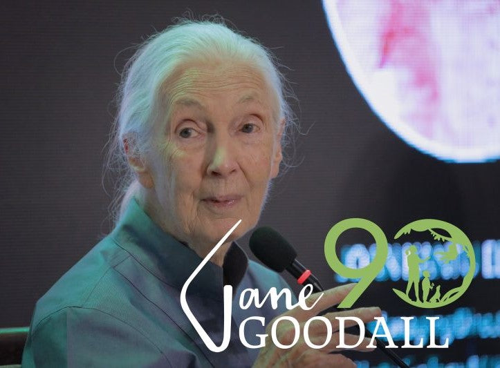 Celebrating Jane Goodall's 90th Birthday: A Legacy of Conservation and Inspiration
