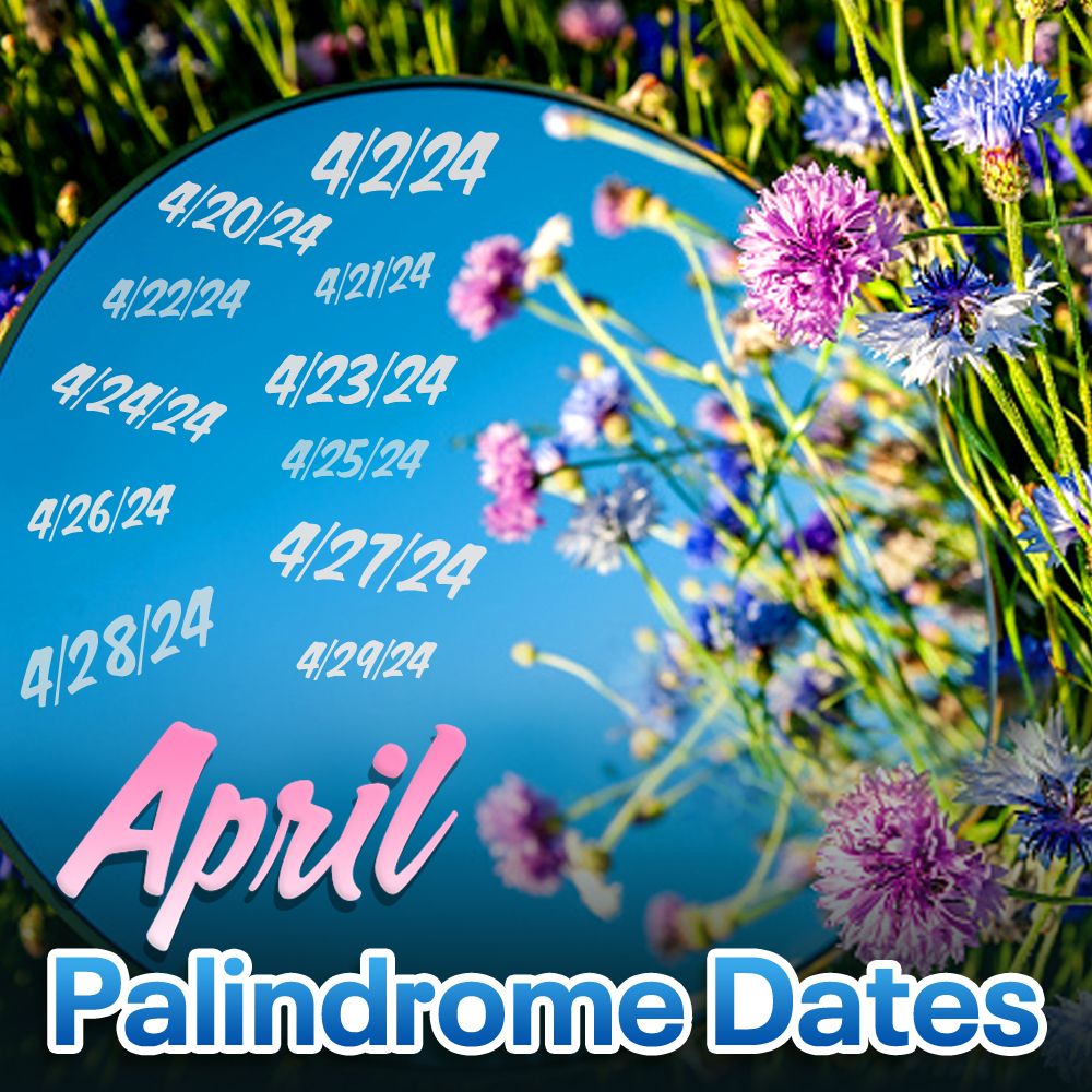 Celebrating the April Palindrome: A Remarkable Numerical Symmetry