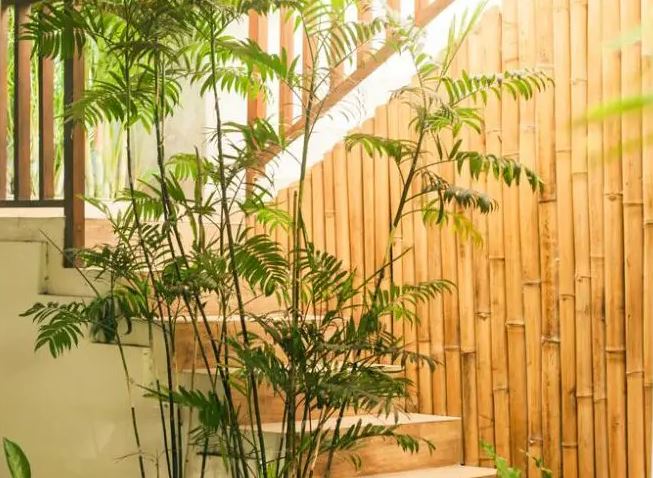 Go Green Indoors!
