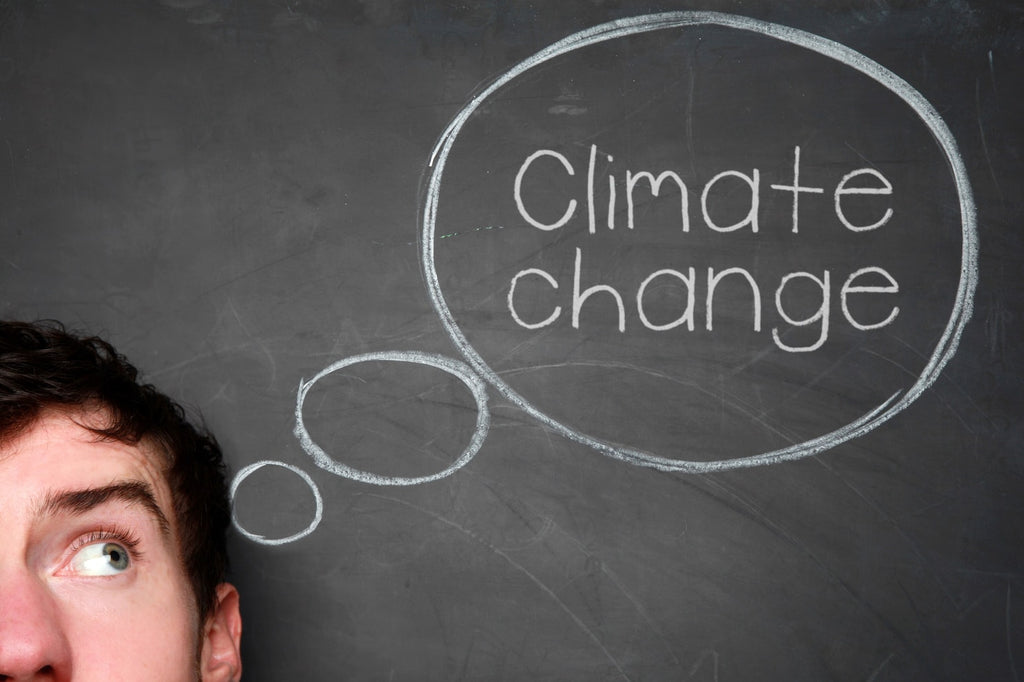 The Psychology of Climate Change Communication: Strategies for Promoting Collective Action