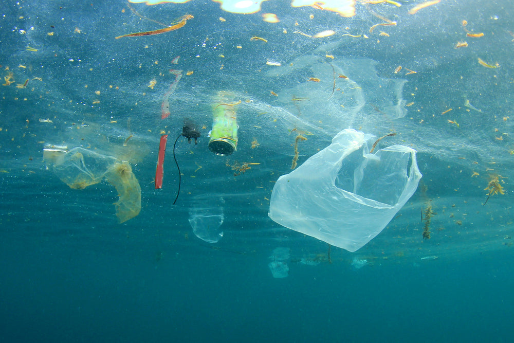 WORLD OCEANS DAY