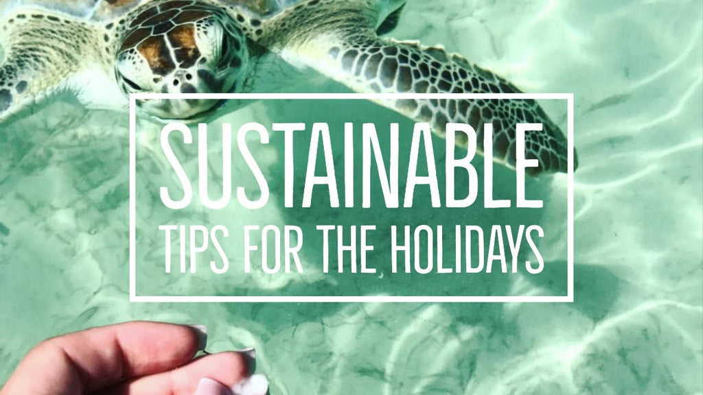 Sustainable Tips for the Holidays