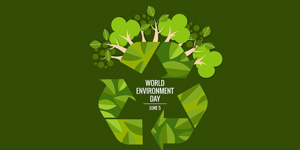 It's the 50th Anniversary of World Environmental Day