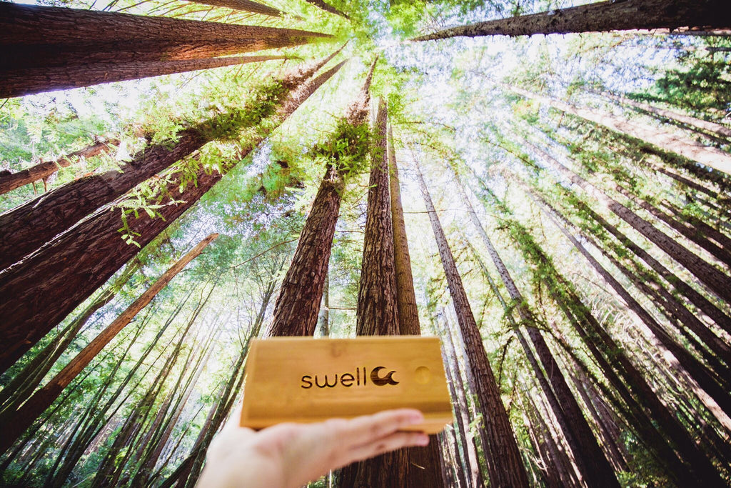 Bamboo Sunglasses Case