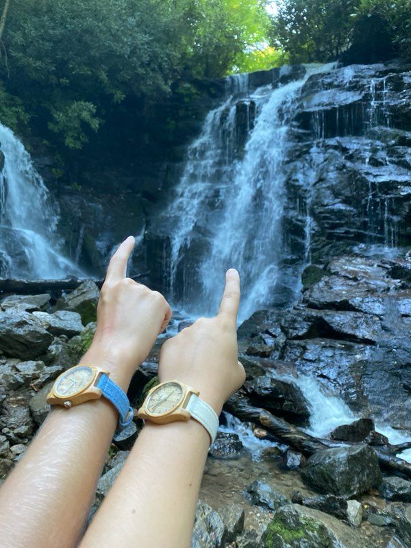 Niagara Bamboo Watch